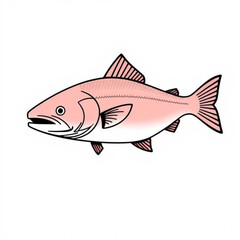 Pink_Salmon_Animal_