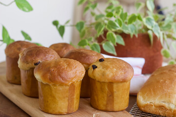 mini panettone