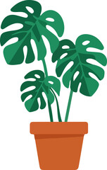 Potted Monstera Deliciosa Houseplant Illustration