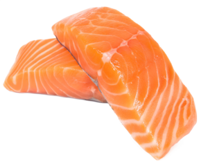 salmon