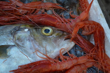 Palermo, mercato della Vucciria