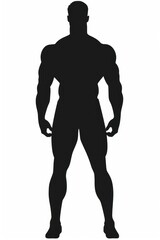 Fototapeta premium Muscle man silhouette person adult.
