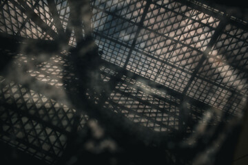 Feflection in the window