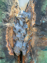 An artistic close-up showing metallic textures and the effects of rust and corrosion.