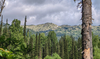 A stunning view of a mountain range surrounded by lush green forests under a cloudy sky.