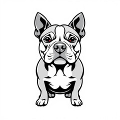 Pocket Pitbull Animal Icon