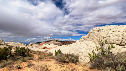 White Pocket in Utah, USA, a remote ecpanse of Navajo sandstone sculpted by wind and erosion into...