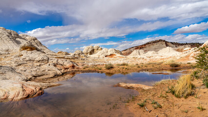 Obraz premium White Pocket in Utah, USA, a remote ecpanse of Navajo sandstone sculpted by wind and erosion into swirling, brain-like formation with vivd red, pink, orange, and white layers