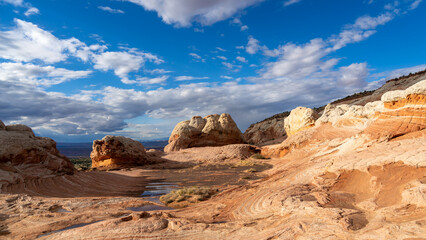 White Pocket in Utah, USA, a remote ecpanse of Navajo sandstone sculpted by wind and erosion into swirling, brain-like formation with vivd red, pink, orange, and white layers