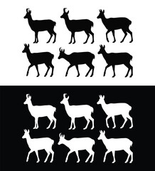 Fototapeta premium Chamois animal silhouettes set