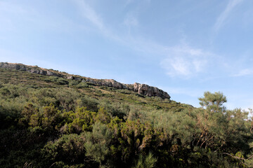 Misty mountains meet verdant forests, Cantabria - Capture the serenity of Cantabrias mountains, with lush forests, towering peaks shrouded in mist, and a bright, sunny sky.