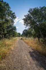 Eco trail winding through golden Alentejo fields under a clear blue sky, capturing the harmony between nature and sustainable travel in rural Portugal."