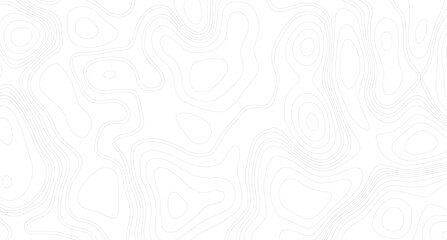 Abstract wavy background topographic contour background. contour lines background. Topographic map contour background.
