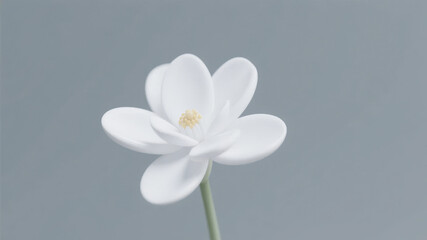 Fototapeta premium A single white flower with delicate petals against a neutral gray background