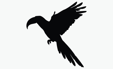Parrot silhouette, tropical bird vector, perched animal icon, Parrot silhouette isolated vector illustration 