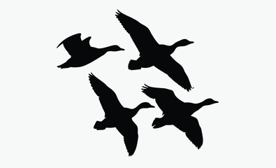 Flying duck silhouette, Flock of flying duck silhouette vector, duck bird icon vector art illustration  