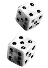 Two white dice, black pips, isolated