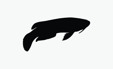 Algae eater silhouette, aquarium fish, elegant tail, Siamese Algae Eater Silhouette Vector Art Illustration 