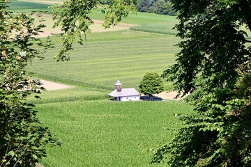 Small countryside chapel surrounded by lush green fields, framed by leafy tree branches. The rural landscape is bathed in summer sunlight, creating a peaceful and scenic atmosphere.
