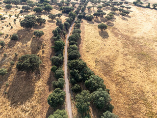 Aerial view of a scenic ecotrail built on a former railway line, winding through Alentejo fields with holm oaks and cork oaks under the Portuguese sun.