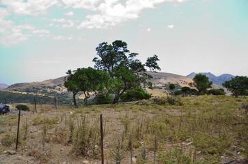 mountain landscape with trees and blue sky