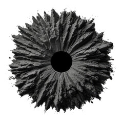 Obraz premium Abstract black powder explosion with radial symmetry showcasing fine details and intricate textures for creative design projects
