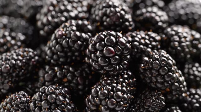 Slow-mo blackberries rain onto fresh berry mound. Juicy close-up showcases plump texture and harvest-day freshness. Food promo.