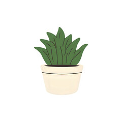 Snake Plant Illustration:  Potted Plant Graphic for Home Decor, Botanical Art, and Interior Design Projects