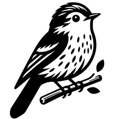 Obraz premium Least Flycatcher Illustration