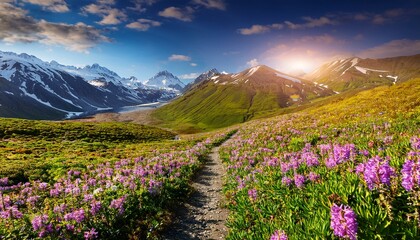 Obraz premium flowers field mountains background alaska bright volumetric sunlight inspiring panoramic springtime vibrancy time climb mountain path dreamland splashes color new heaven earth