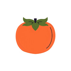 Vibrant Persimmon Illustration: Perfect for Fall Designs