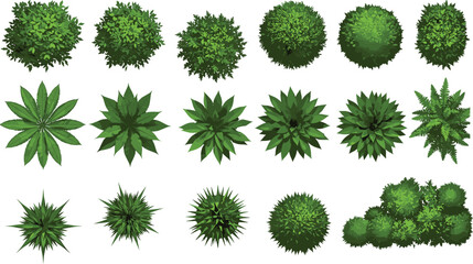 Top view green plants, bushes, and shrubs collection, isolated foliage elements for landscape design, garden planning, nature illustrations, and environment visuals