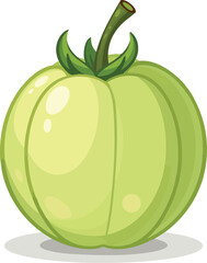 Ripe pumpkin and melon vector illustrations, fresh organic fruit symbols on a white background