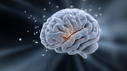 Fototapeta premium A close up of a brain with a lot of white matter and a lot of black matter. The image conveys the complexity and intricacy of the human brain