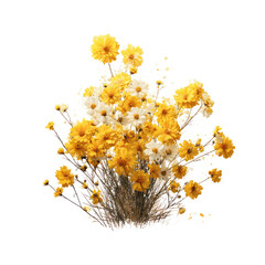 Obraz premium Yellow and white flower bouquet