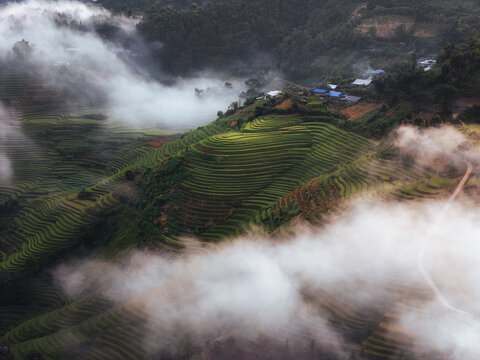Aerial view of terraced rice fields cascading down the slopes, partially veiled in ethereal mist, Rice Tray Viewpoint M&Atilde;&cent;m X&Atilde;&acute;i, Y&Atilde;&ordf;n B&Atilde;&iexcl;i, Vietnam.