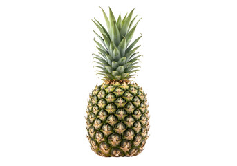 Fototapeta premium Fresh Whole Pineapple with Green Spiky Leaves.