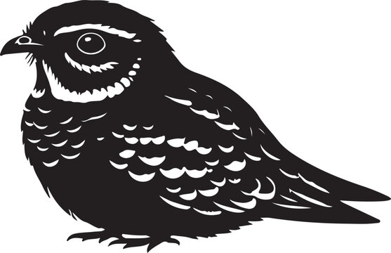 Nighthawk Vector Silhouette