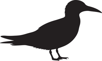 Orange-billed Tern Vector Silhouette