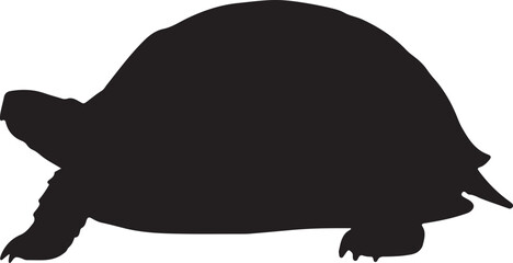 Ornate Box Turtle Vector Silhouette