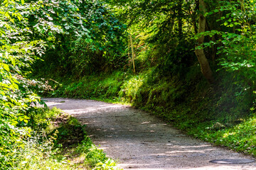 Obraz premium Sendero en Bulnes, Picos de Europa.