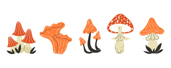 Collection of Diverse Autumn Mushrooms in Red Tones Flat Style