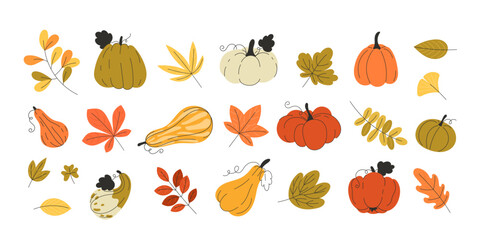 Large Autumn Elements Set with Multicolored Leaves and Cute Pumpkins Flat Style Fall Harvest Thanksgiving Vector Illustrations for Seasonal Designs