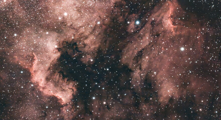North American Nebula (C 20)