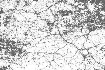 Rough black and white texture vector distressed overlay texture grunge background.