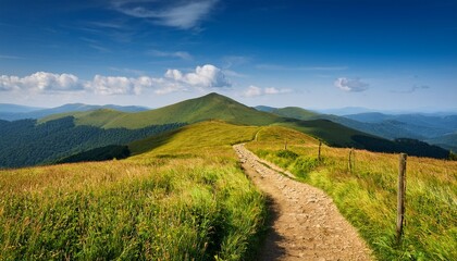 picturesque landscape of bieszczady mountains showcasing a winding dirt path through vibrant meadows under a blue sky ideal for outdoor activities and nature photography © Jaida