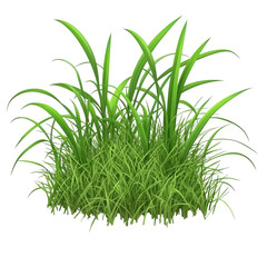 Obraz premium Lush green grass clump