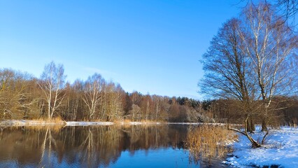 The river flows through a mixed forest. There are reflection, ripples and ice edges on the water, and reeds near the shore. Snow everywhere. Alder and a birch stand on the shore. Sunny and frosty