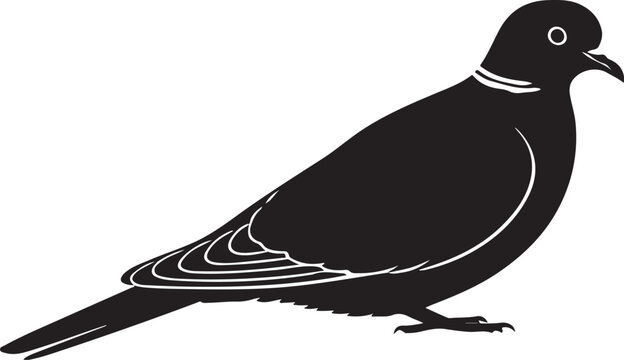 Turtle Dove Vector Silhouette