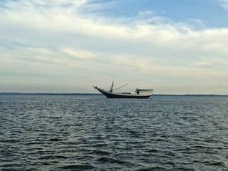A unique wooden ship is sailing